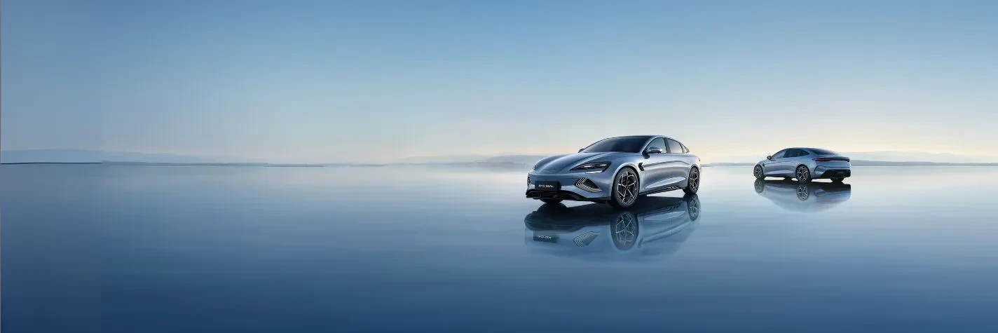 抖圈 Auto elettriche